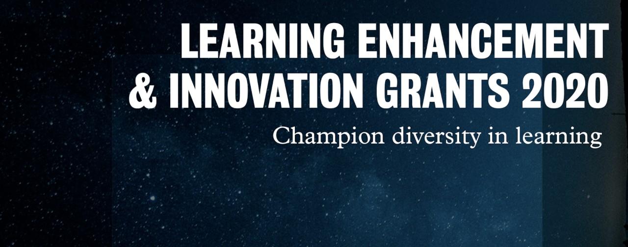 education innovation and research grant program
